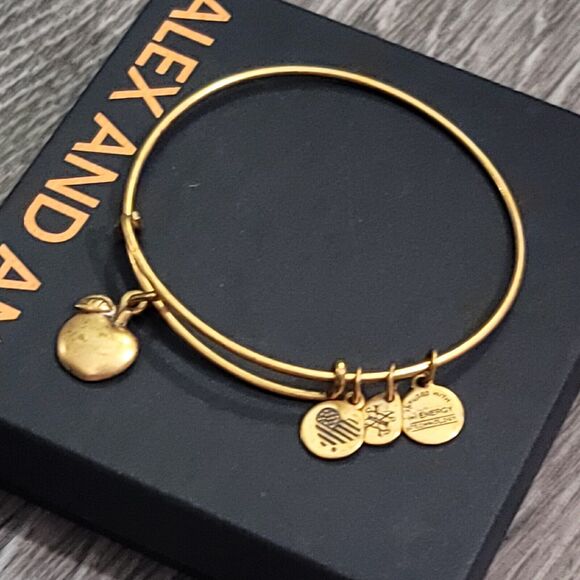 Alex and Ani Apple of Abundance Charm Bracelet - Picture 3 of 11
